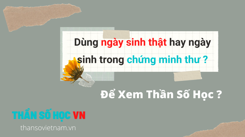 Dùng ngày gì để xem thần số học